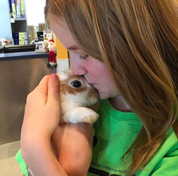 Illustration de l'article : Une bénévole sauve la vie d'un lapin abandonné parce que trop affectueux